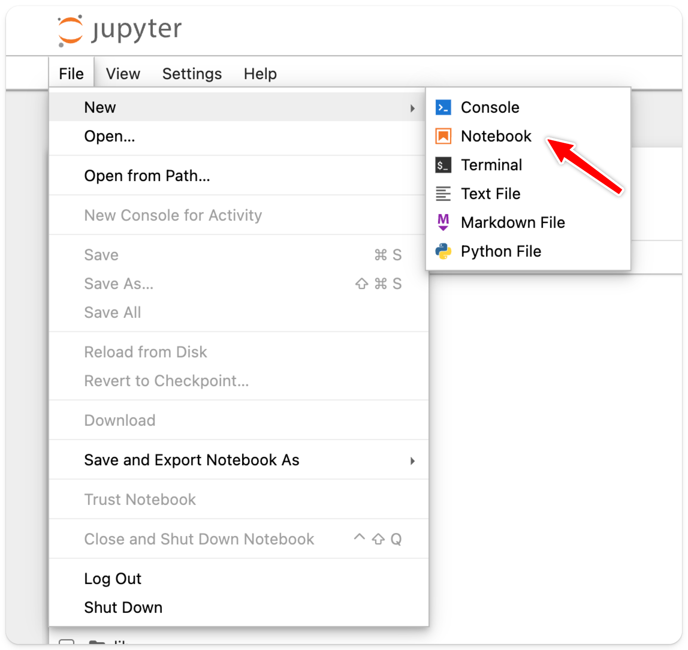 Create a new notebook